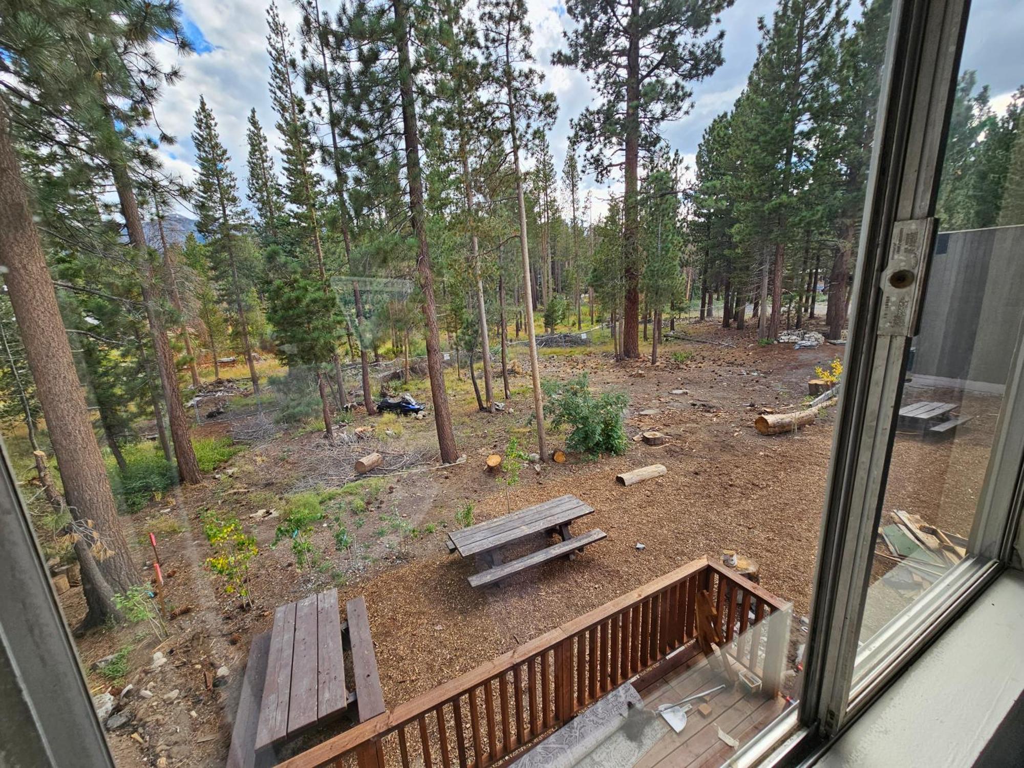 Cinnamon Bear 3* Mammoth Lakes