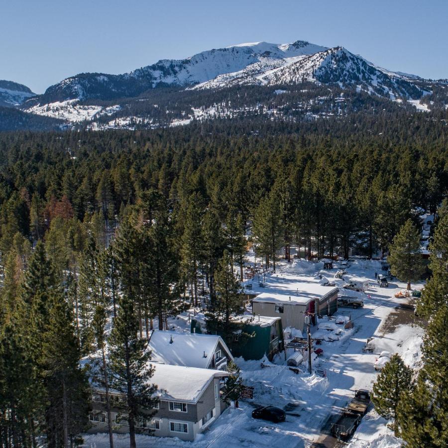 Cinnamon Bear 3* Mammoth Lakes