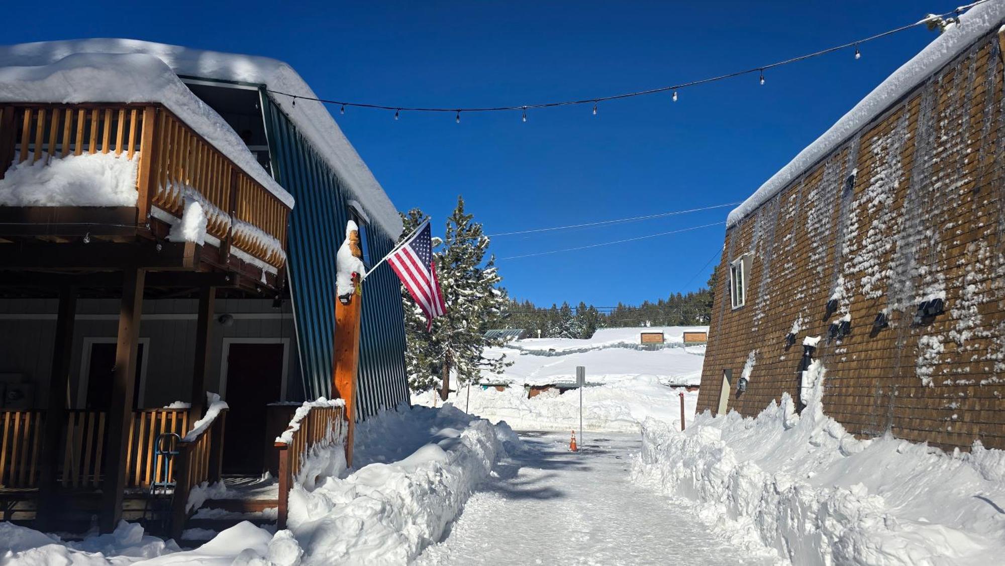 Cinnamon Bear 3* Mammoth Lakes
